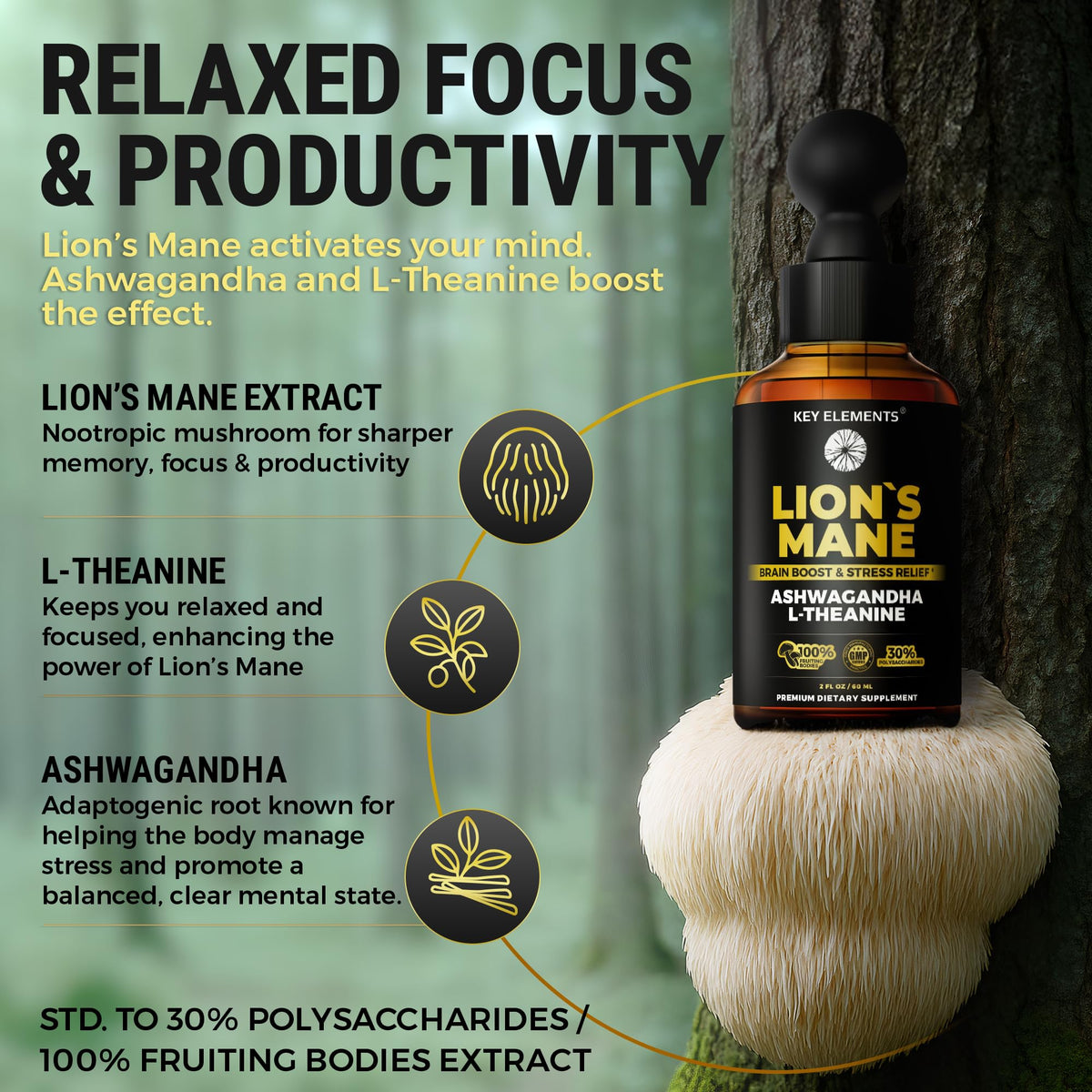 Ingrédients de l'extrait de champignon Lion's Mane KEY ELEMENTS