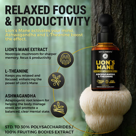Ingrédients de l'extrait de champignon Lion's Mane KEY ELEMENTS