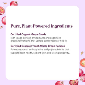 Ingrédients de l'extrait de pépins de raisin PURE SYNERGY