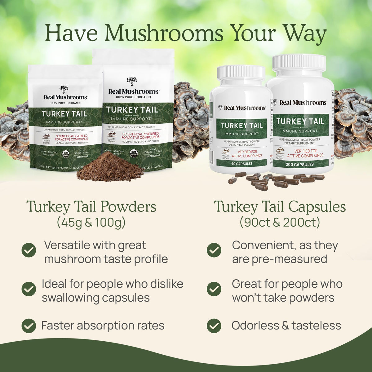 Ingrédients de la poudre de champignon Turkey Tail bio