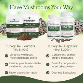Ingrédients de la poudre de champignon Turkey Tail bio