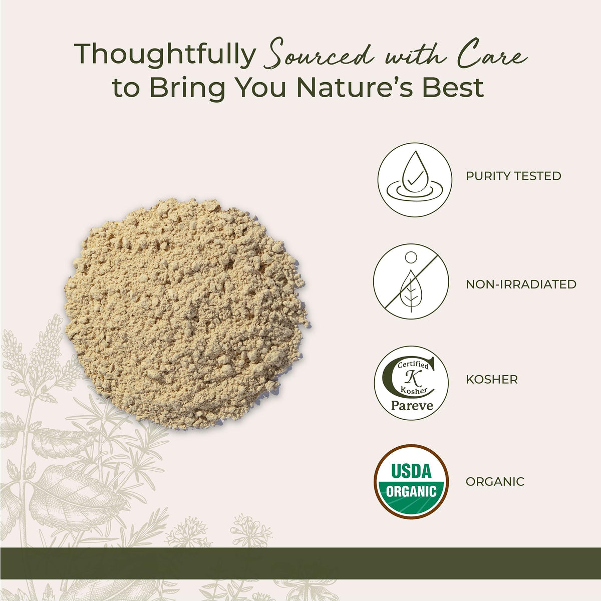 Ingredients de la poudre de racine de gingembre bio Starwest Botanicals