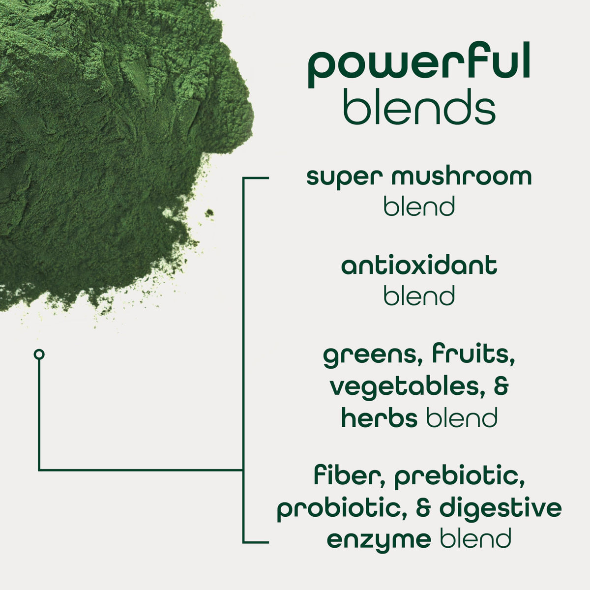 Ingrédients de la poudre de super aliments bio Zena Nutrition