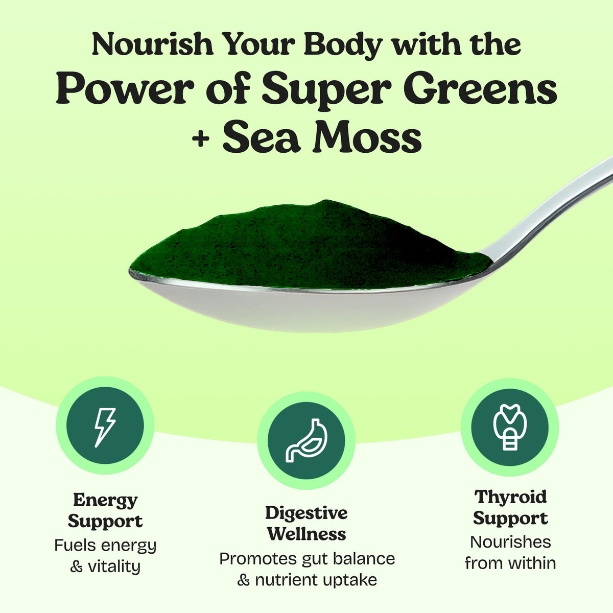 Ingrédients de la poudre de super greens Atlantic Naturals sur l'emballage