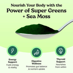 Ingrédients de la poudre de super greens Atlantic Naturals sur l'emballage