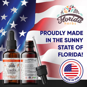 Ingrédients de la Teinture de Gingembre Bio FLORIDA HERBS