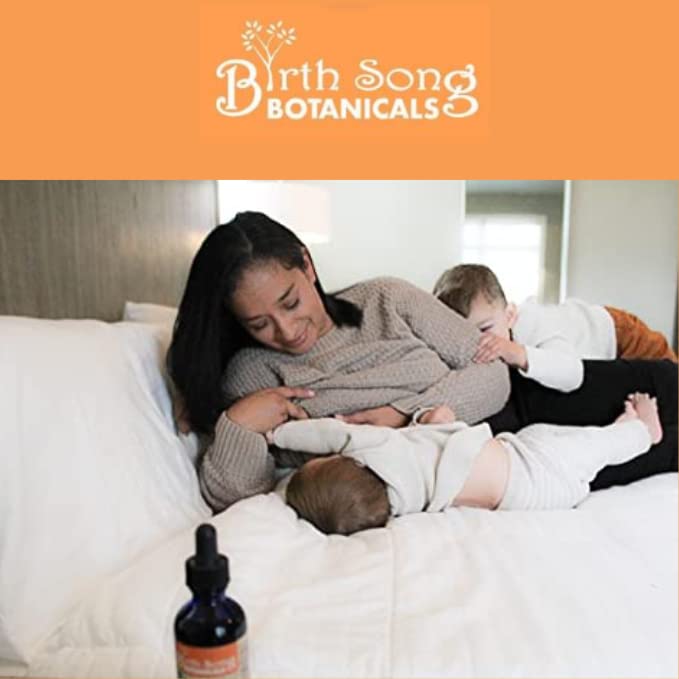 Ingrédients de la Tincture d'Herbes Birth Song Botanicals sur une table