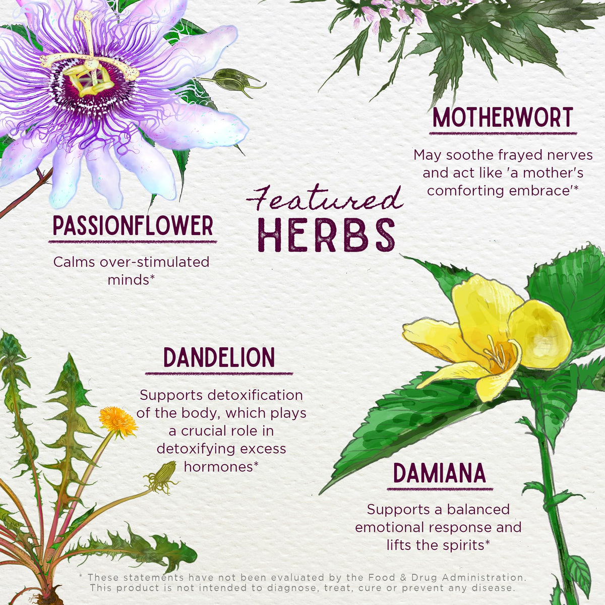Ingrédients de la tincture émotionnelle WishGarden