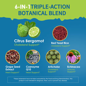 Ingrédients de LeaforClensey Citrus Bergamot sur une table