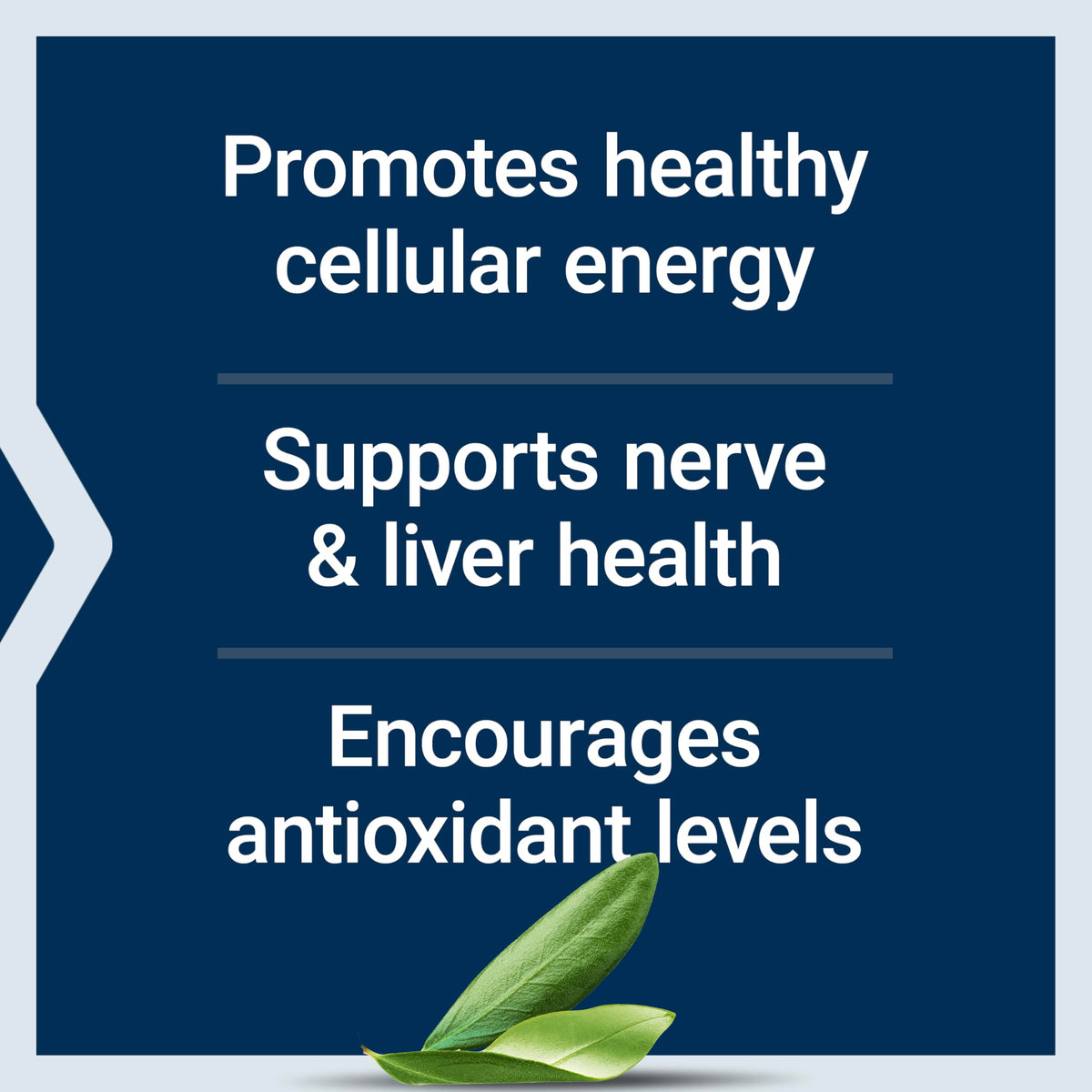 Ingrédients de Life Extension Acide Alpha-Lipoïque avec Biotine