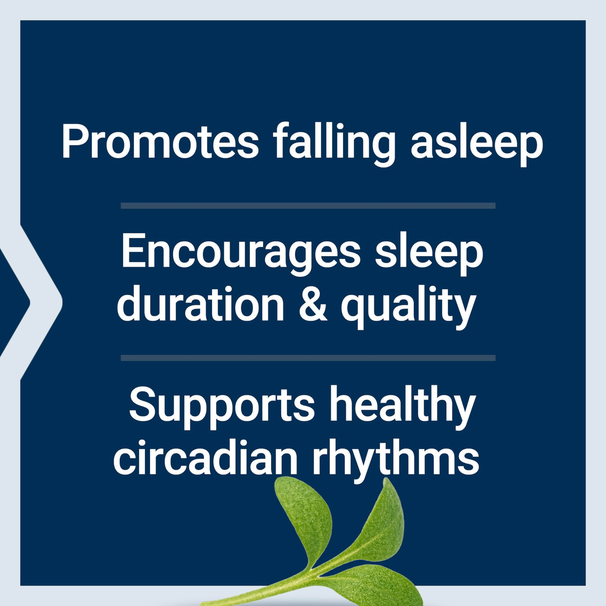 Ingrédients de Life Extension Complément Sommeil sur l'étiquette