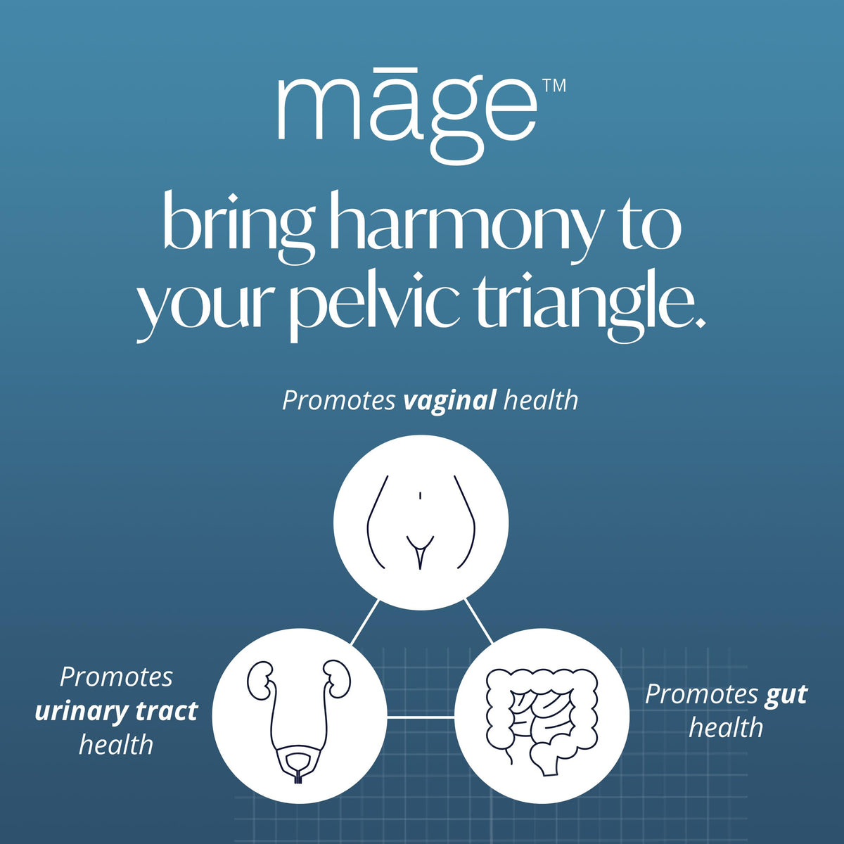 Ingrédients de Mage Probiotique Femme, liste sur l'emballage