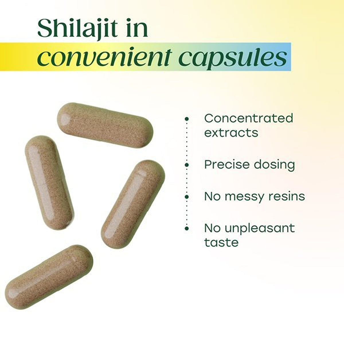Ingrédients de MegaFood Shilajit sur une table