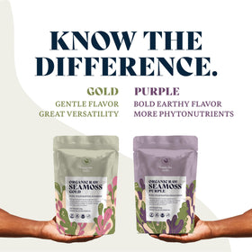 Ingrédients de mousse de mer bio violette avec légumes frais