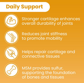 Ingrédients de Sanar Naturals Glucosamine Chondroitin MSM Turmeric