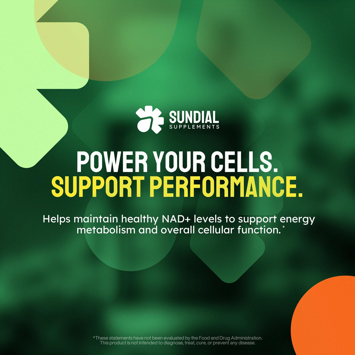 Ingrédients de SUNDIAL SUPPLEMENTS Nicotinamide Riboside sur l'étiquette