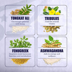 Ingrédients de T-Forge NATION HEALTH MD sur fond neutre