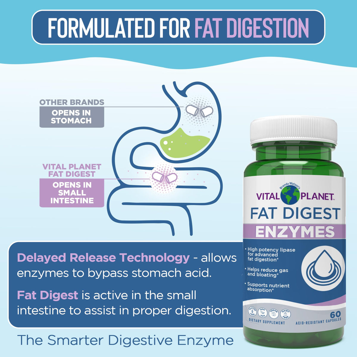 Ingrédients de Vital Planet Fat daily sur fond neutre