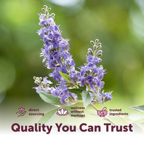 Ingrédients de Vitex Berry+ Advanced sur fond naturel