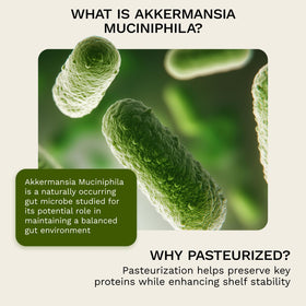 Ingrédients de XpandAge Akkermansia Muciniphila sur l'emballage