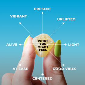 Ingrédients des bonbons Shrumfuzed aux champignons, affichés sur l'emballage