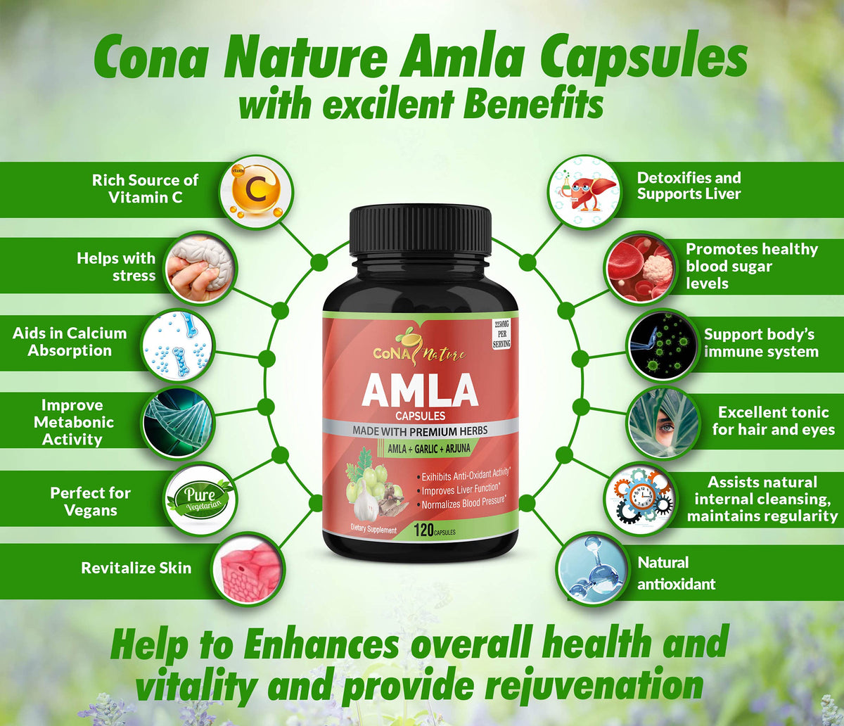 Ingrédients des capsules Amla Bio Cona Nature sur l'étiquette