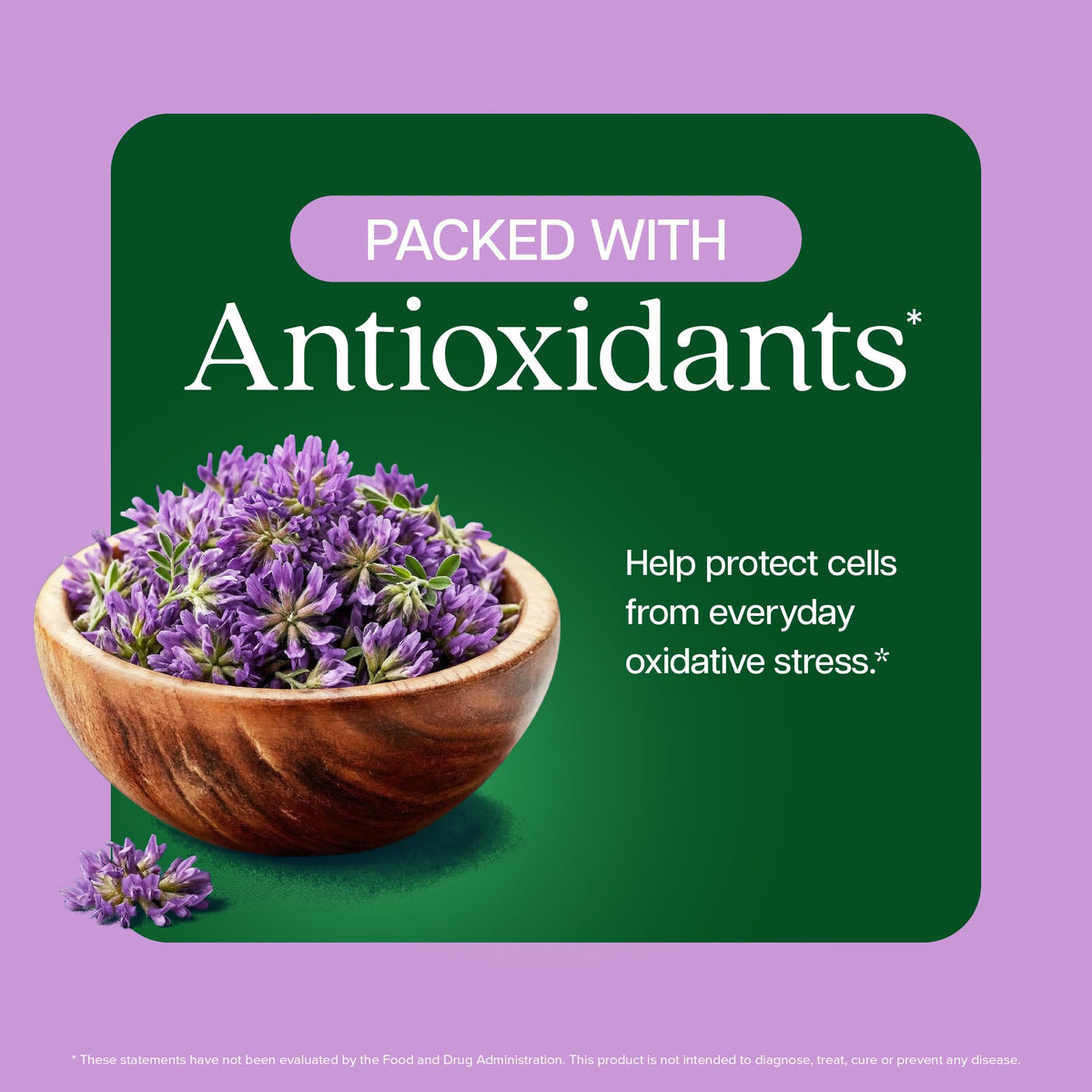 Ingrédients des capsules d'Astragalus Racine Purely Holistic