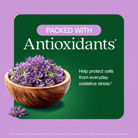 Ingrédients des capsules d'Astragalus Racine Purely Holistic