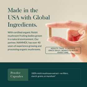 Ingrédients des capsules de champignon Reishi Gaia Herbs