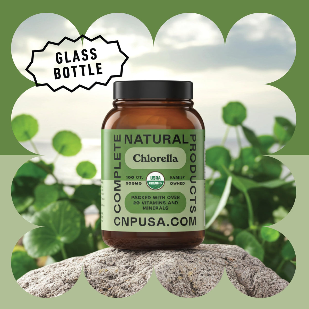 Ingrédients des capsules de chlorella bio sur l'étiquette