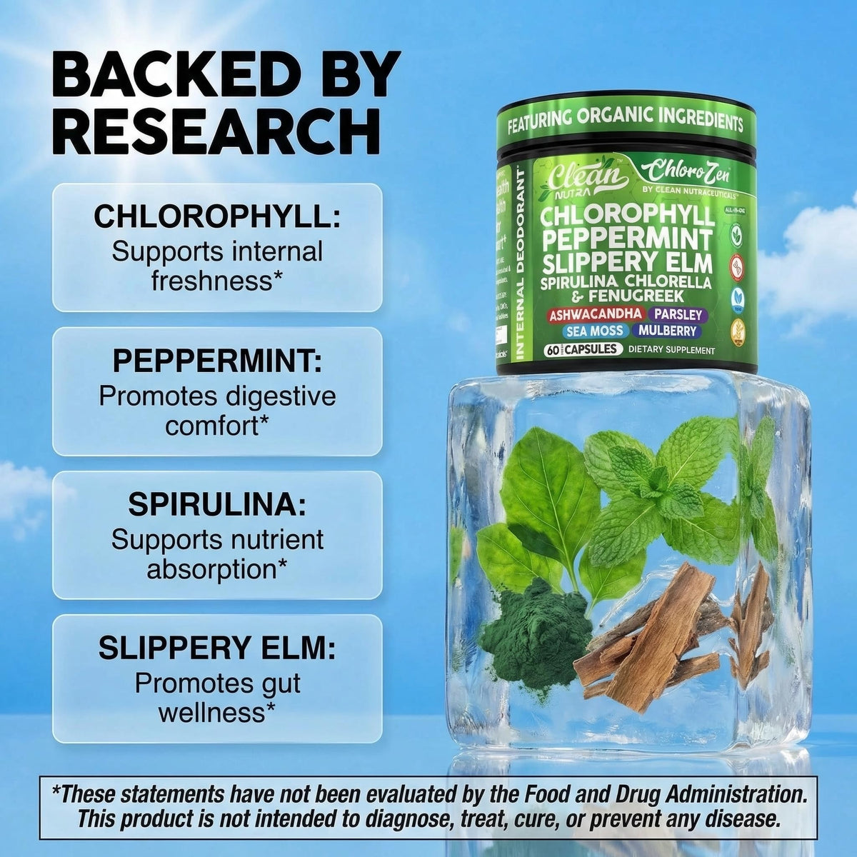 Ingrédients des capsules de chlorophylle Clean Nutraceuticals