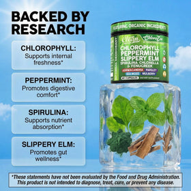 Ingrédients des capsules de chlorophylle Clean Nutraceuticals