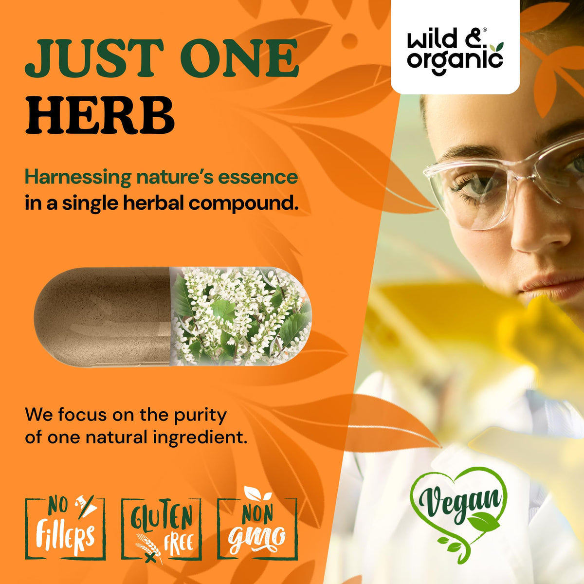 Ingrédients des capsules de Cimicifuga Wild & Organic sur l'étiquette