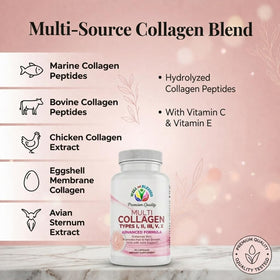 Ingrédients des capsules de collagène Well and Blessed