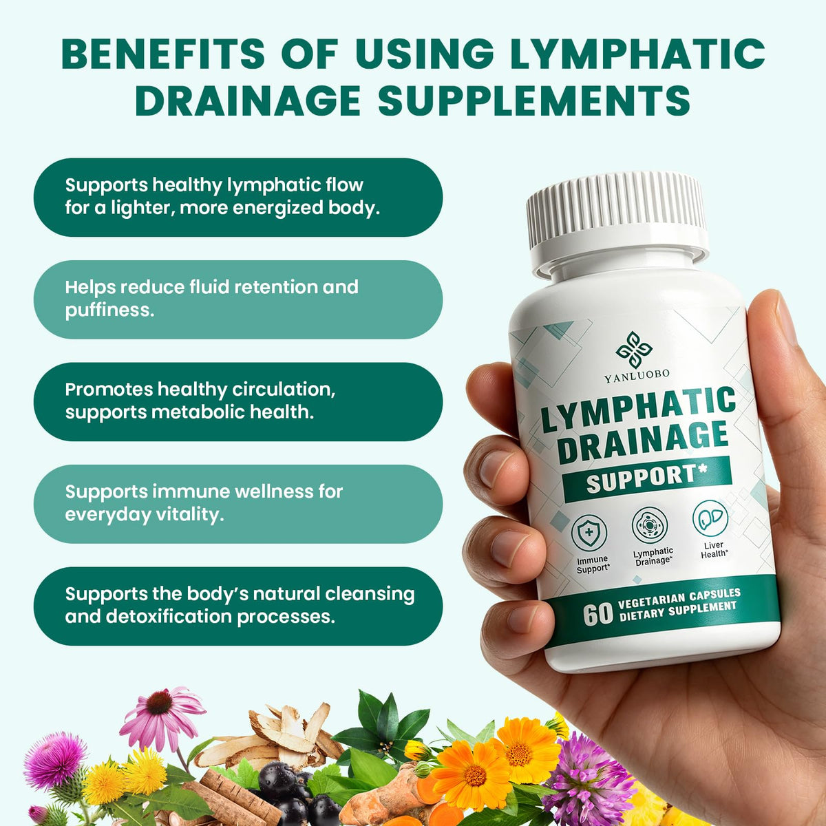 Ingrédients des capsules de drainage lymphatique YANLUOBO