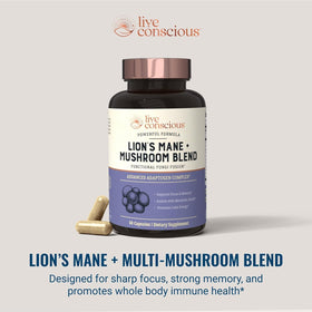Ingrédients des capsules de Lion's Mane Live Conscious