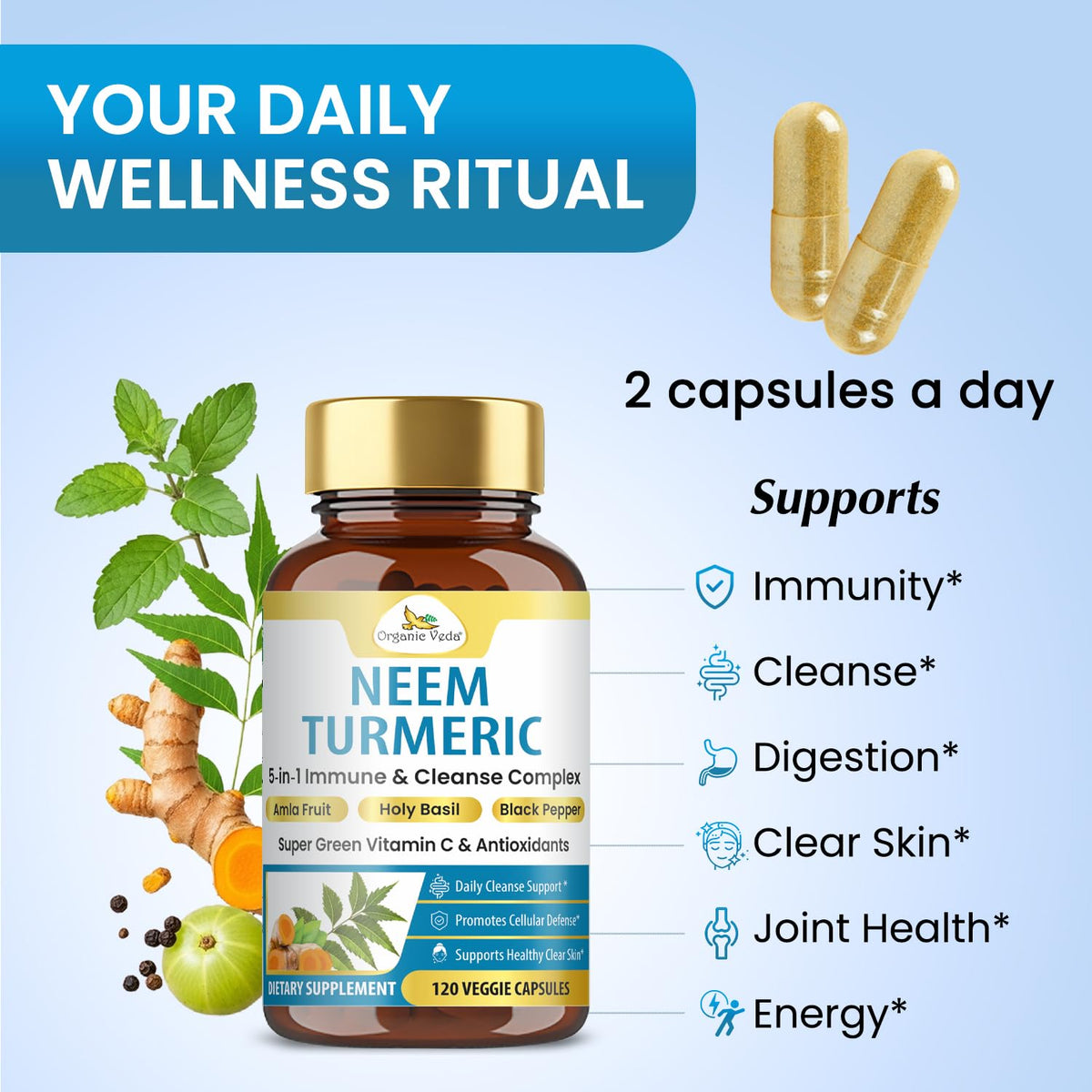 Ingrédients des capsules de Neem et Curcuma Organic Veda