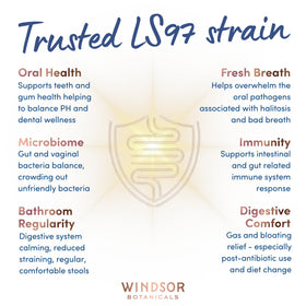 Ingrédients des capsules de probiotiques Lactobacillus Salivarius