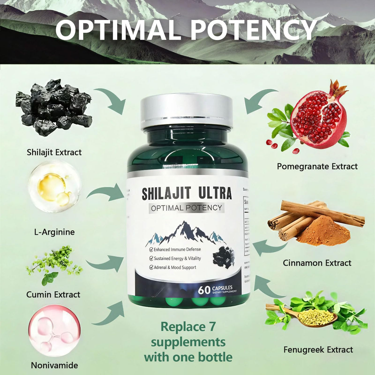 Ingrédients des Capsules de Shilajit Himalayen Pur KEGECOL
