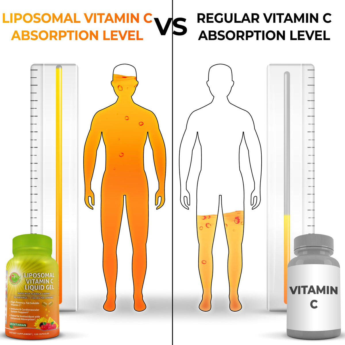 Ingrédients des capsules de vitamine C liposomale SUPPLEMENTS STUDIO