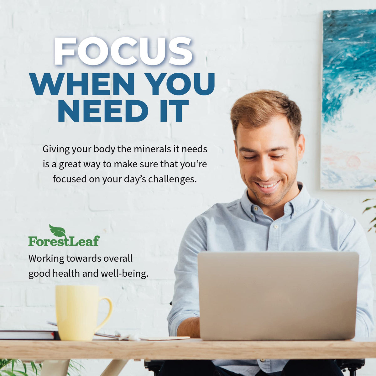 Ingrédients des capsules ForestLeaf affichés sur l'étiquette