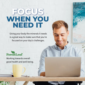 Ingrédients des capsules ForestLeaf affichés sur l'étiquette