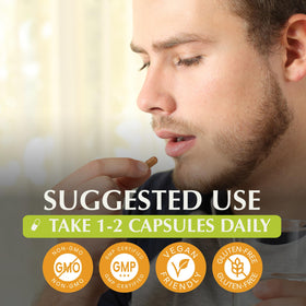 Ingrédients des capsules Jiva Botanicals Shilajit 700mg