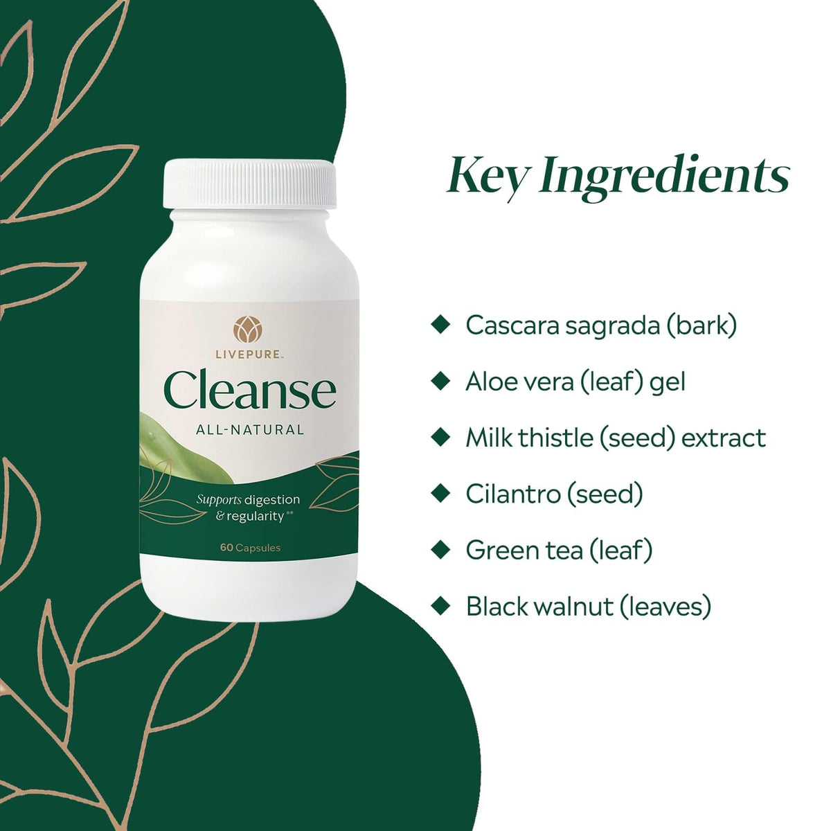 Ingrédients des capsules PURE Cleanse sur l'étiquette