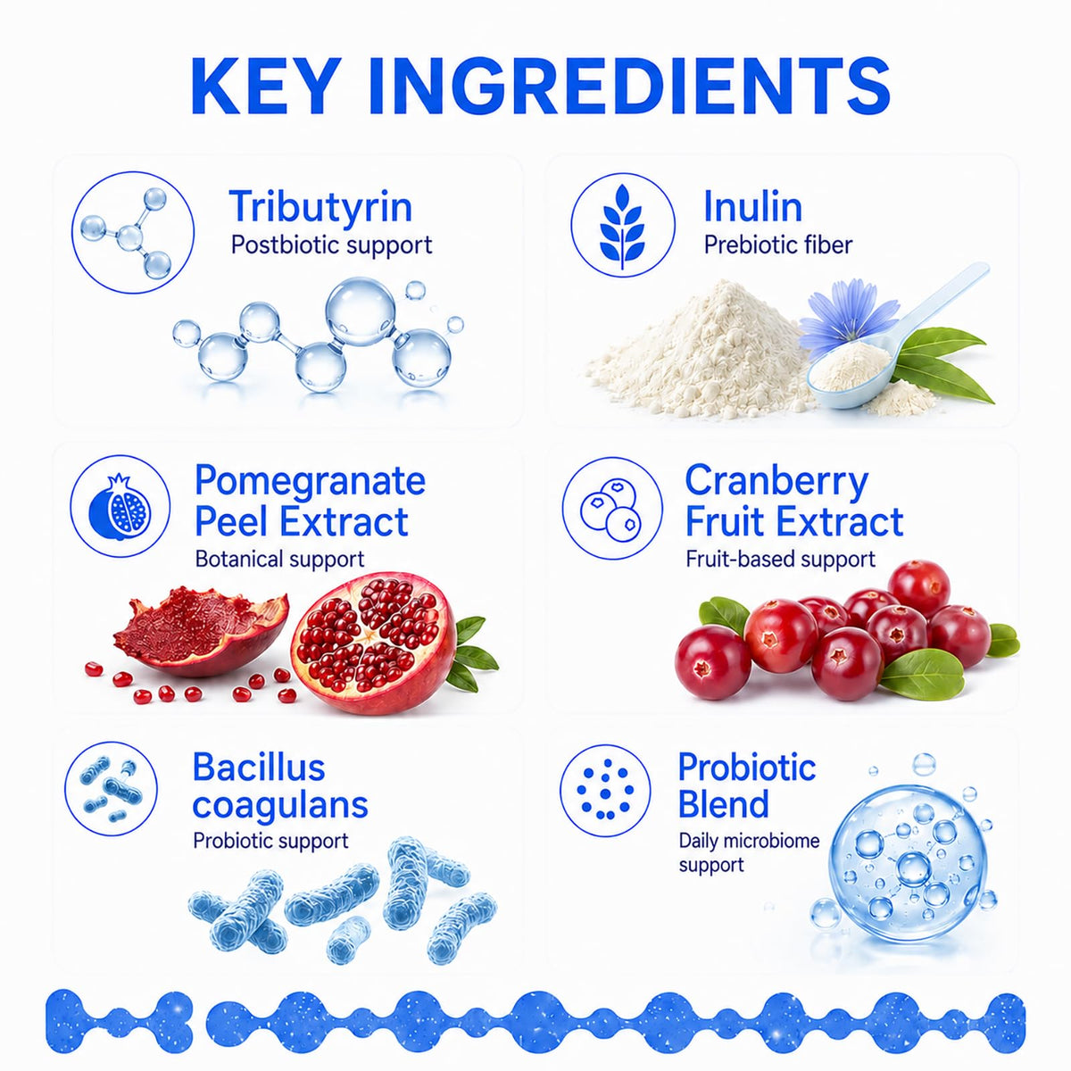 Ingrédients des capsules TriBiotiques LINELLE sur une table