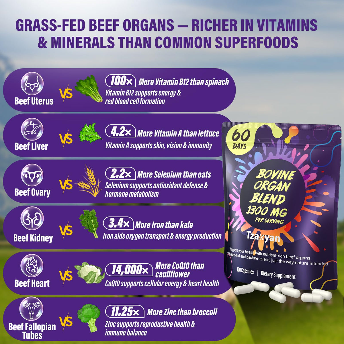 Ingrédients des capsules tzaxyan Complément Alimentaire Organes de Bœuf