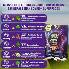 Ingrédients des capsules tzaxyan Complément Alimentaire Organes de Bœuf