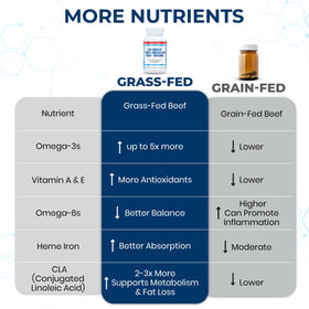 Ingrédients des capsules Ultimate Complément Alimentaire Organes de Boeuf
