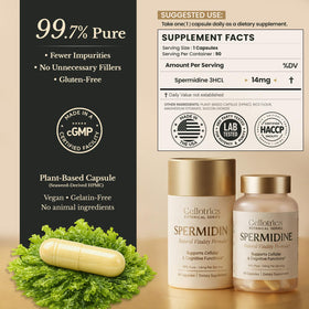 Ingrédients des compléments CELLOTRICS Spermidine 1260mg
