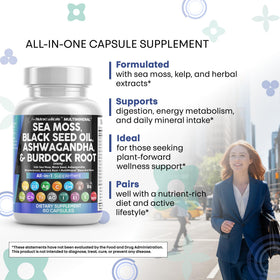Ingrédients des gélules Clean Nutraceuticals